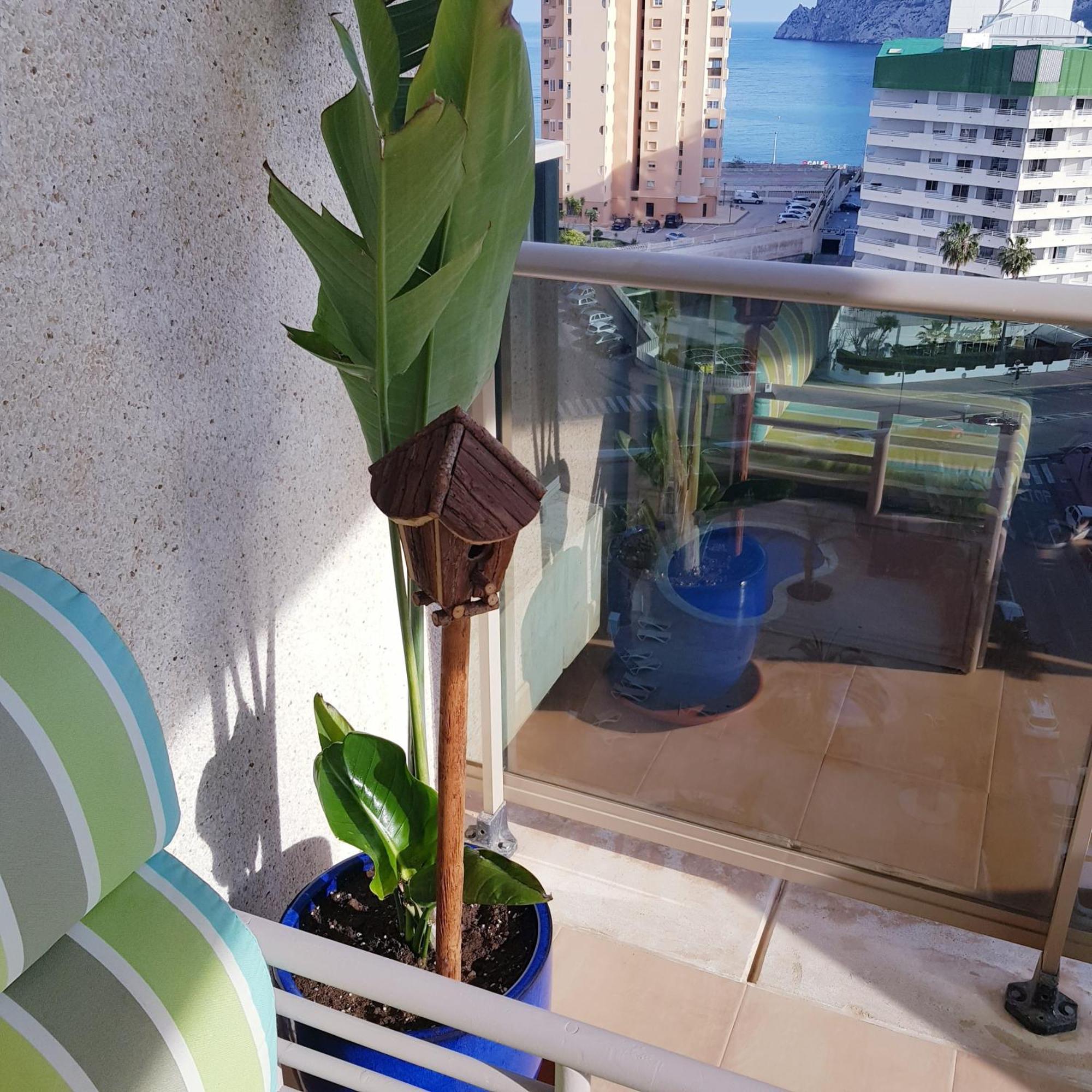 Esmeralda Suites Calpe Bagian luar foto